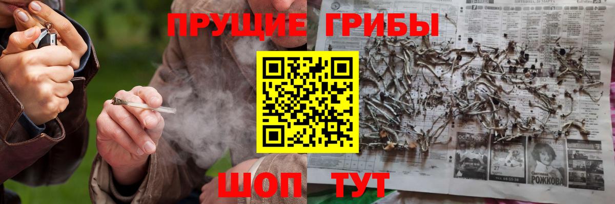 Галлюциногенные грибы Psilocybe  Вход с VPN  Алушта 