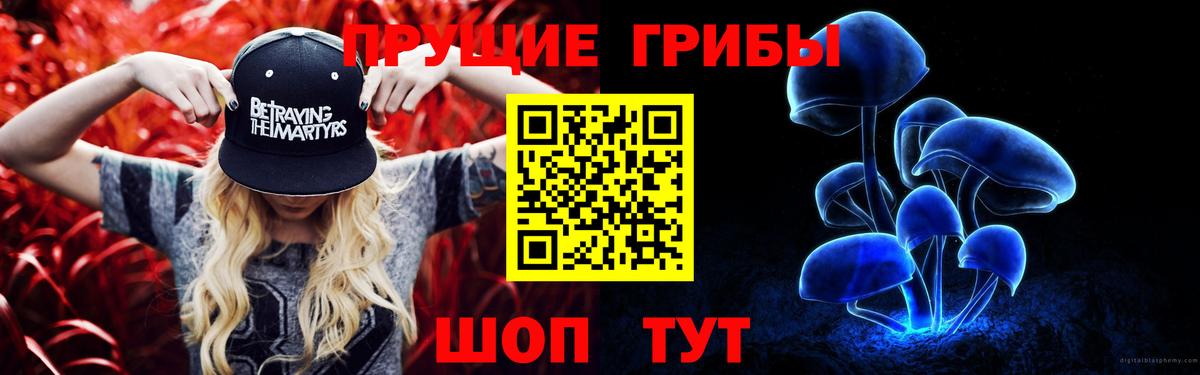 Псилоцибиновые грибы Psilocybe Алушта